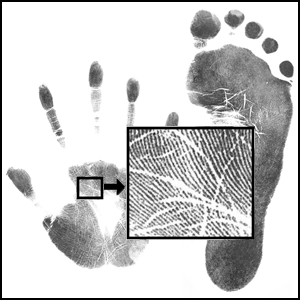 Inkless Footprint Kit